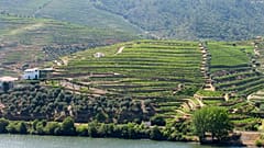 Espanha corta água ao Douro