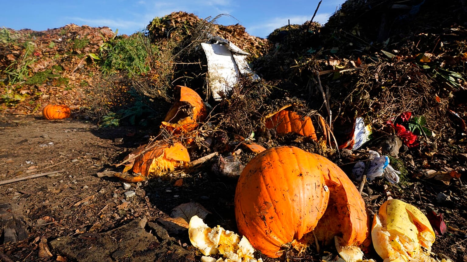 Pumpkins, along with garden waste and other organic waste, await composting.