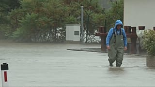 скриншот из видео SIRTVS через EVN