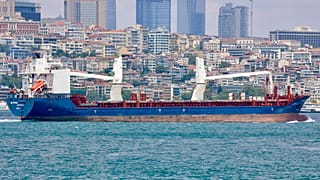 Laodicea isimli kuru yük gemisi Lübnan'a yanaştığında Ukraynalı diplomatlar geminin çalıntı tahıl taşıdığını söyleyerek Lübnanlı yetkililerden gemiye el koymalarını istemişti