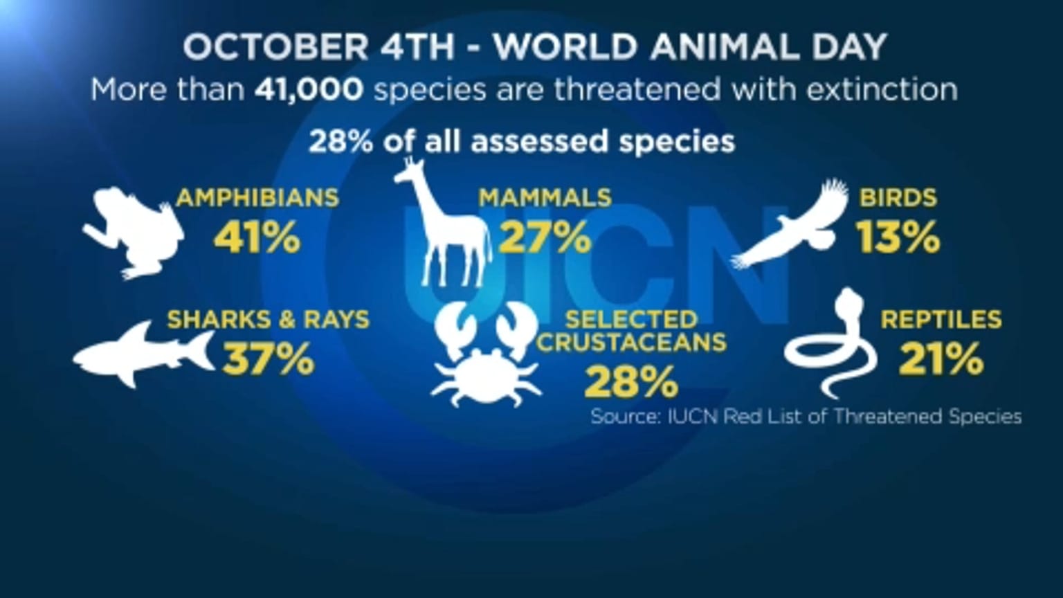 Dati preoccupanti per gli animali a rischio estinzione. 
