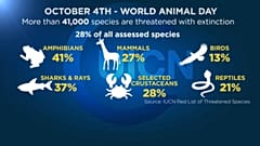 Dati preoccupanti per gli animali a rischio estinzione. 