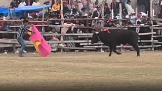 Un torero amateur fait face à un taureau, lors du festival de tauromachie de Huarina en Bolivie.