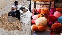 Code Effort has recycled over 300 million cigarette butts from India's streets so far.
