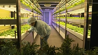 Scientists work on Taiwan's new sustainable, organic, metro farm