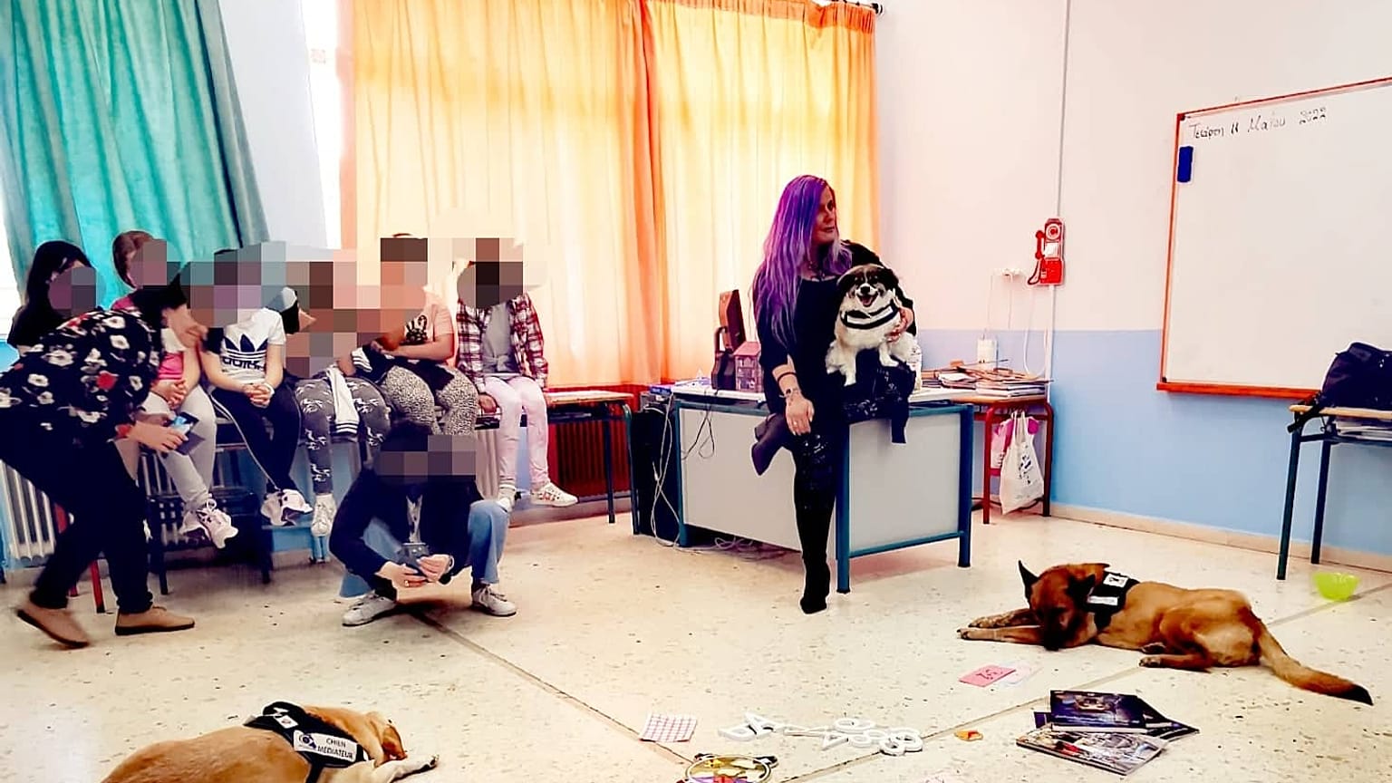 Ένας από τους αδέσποτους σκύλους σε τάξη δημοτικού σχολείου
