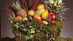 Spanien ist der einzige Produzent subtropischer Früchte in Europa – von Papayas und Mangos über Avocados bis Bananen 