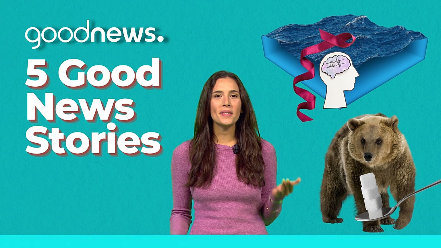 Five Good News Stories