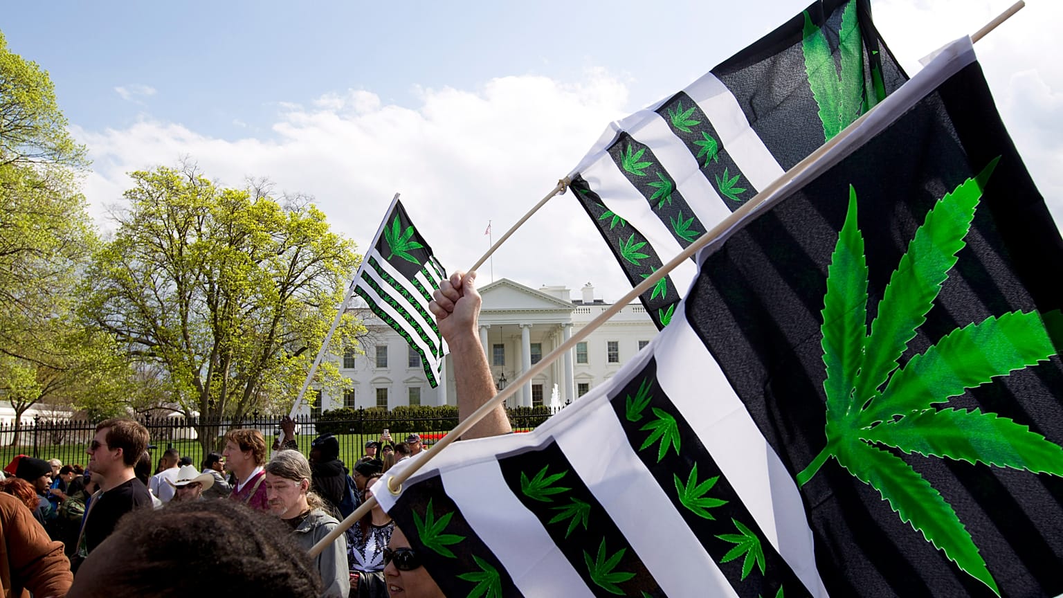 A demonstrator waves a flag with marijuana leaves depicted on it during a protest calling for the legalization of marijuana, outside of the White House
