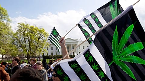 A demonstrator waves a flag with marijuana leaves depicted on it during a protest calling for the legalization of marijuana, outside of the White House