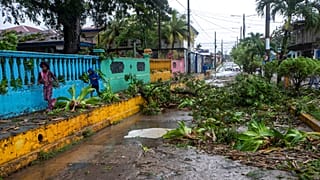 Kidőlt fák a Julia hurrikán után Nicaraguában