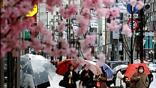 Japan fully reopens to foreign tourists this week after more than two years of COVID-19 border restrictions.