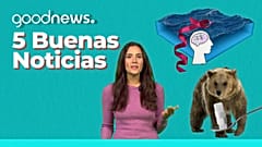 Cinco Buenas Noticias