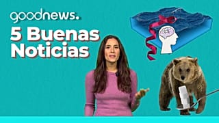Cinco Buenas Noticias