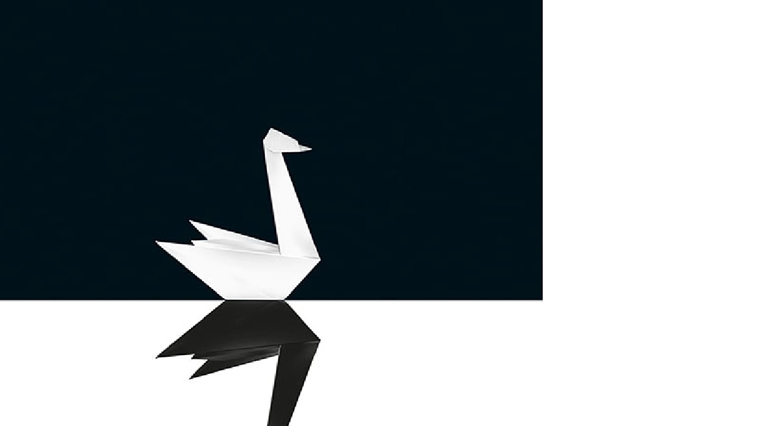 Black Swan cover book
