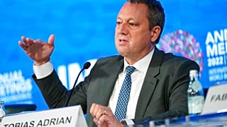 Uluslararası Para Fonu Para ve Sermaye Piyasaları Departmanı Direktörü Tobias Adrian