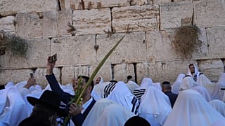 يقيم شعائر النعمة الكهنوتية اليهود الذكور الذين يمكنهم تتبع نسبهم إلى الطبقة الكهنوتية.