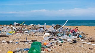 Seven-in-ten British travellers say they have seen the impact of climate change while travelling abroad