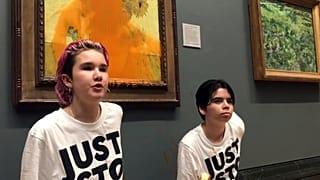 İki gösterici Vincent van Gogh tablosuna çorba döktü