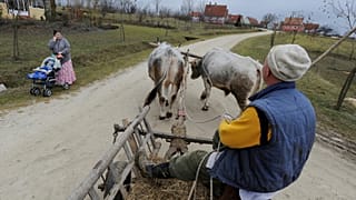 A Krisna-völgy lakói 2009-ben