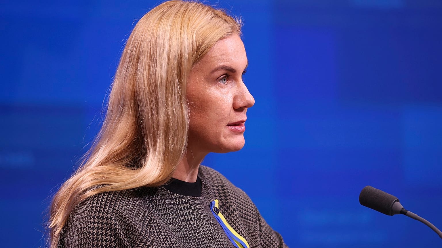 Kadri Simson, European Commissioner for energy, has said an EU-wide cap on gas prices required "maximum consensual support."