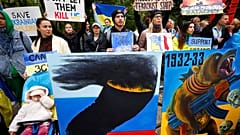 Proteste in Paris nach neuen Anschlägen Russlands in der Ukraine (14. Oktober 2022). Offiziellen Angaben zufolge werden die Angriffe mit Drohnen aus dem Iran durchgeführt.