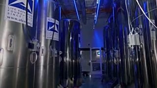 In diesen Tanks sind bei etwa - 100 Grad Celsius Menschen und Tiere kryokonserviert - um sie eines Tages vielleicht wiederzubeleben.