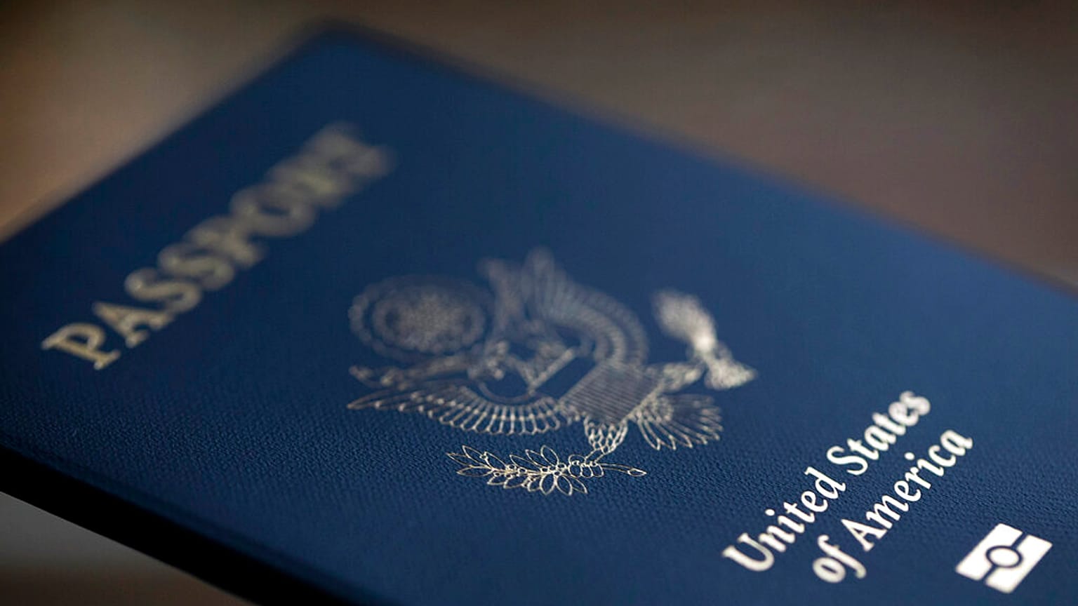 ABD pasaportu (arşiv)