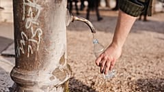 PFAS have been found in drinking water, wildlife, blood and breastmilk. 
