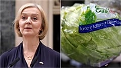 A composite image of Liz Truss and a lettuce