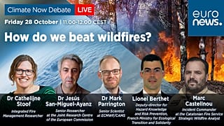 How do we beat wildfires?