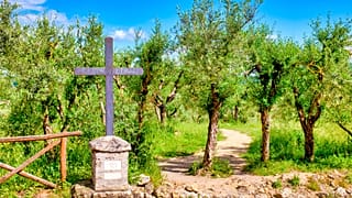 Hike through Switzerland and Italy to Rome on the Via Francigena.