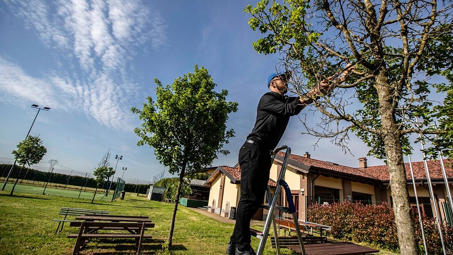 Le projet ForestaMi, à Milan