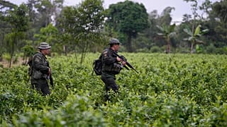 Une unité anti-narcotiques de la police colombienne en opération dans une plantation de coca à La Hormiga, Putumayo, en avril 2022.