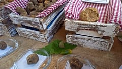 Tartufo bianco for sale 