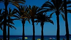 Ein warmer Strand in Spanien