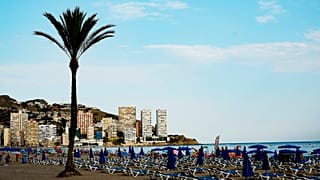 A view of sunbeds lined up on the beach, in Benidorm, July 2020