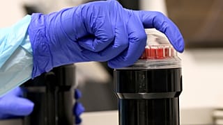 Un tarro con la polémica sangre