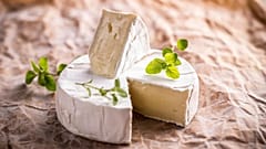 A little wheel of Camembert