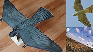 Tired of flight delays? This new drone predator could help, according to international researchers. 