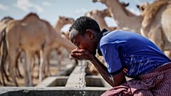 صبي راعي يروي عطشه من نقطة مياه أثناء الجفاف في الصحراء بالقرب من ديرتو - مقاطعة واجير - كينيا. 2021/10/24