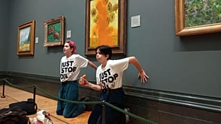 Two protesters threw soup over Van Gogh's Sunflowers on 14 October.