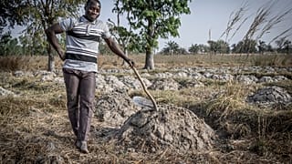Agriculteur dans son champ, Togo