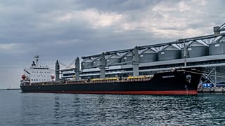 Navio de transporte de grão