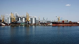Odesa Limanı