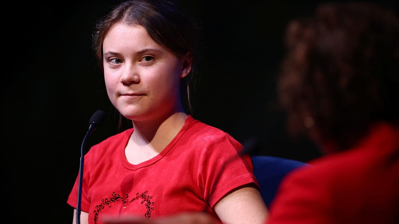 Greta announced she would be skipping the conference during a talk on her book at the Southbank Centre in London on Sunday.
