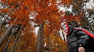 Als Vampir Verkleideter im Wald bei Schloss Bran