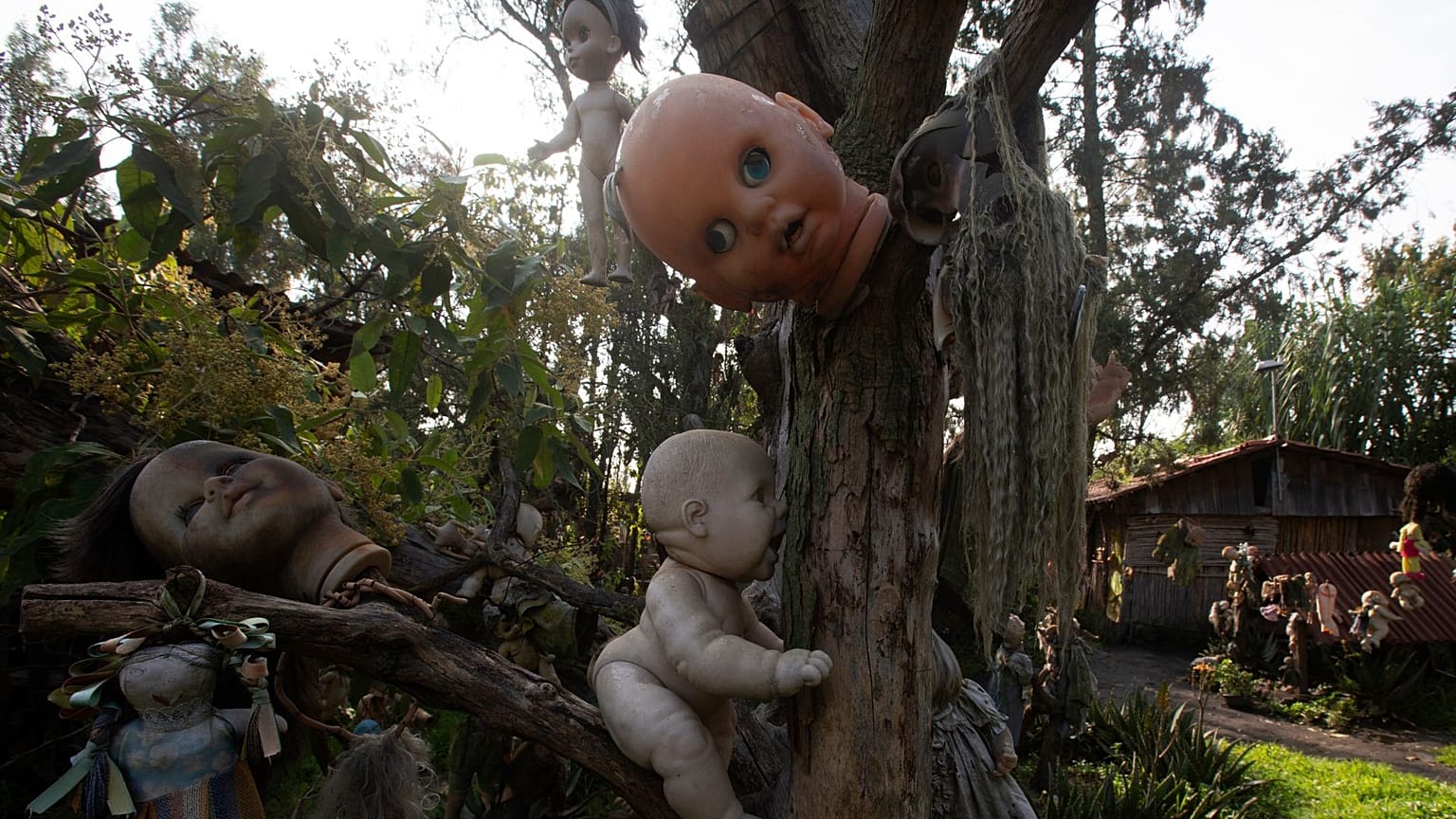 Dolls hang from trees at the Island of the Dead Dolls in Xochimilco, Mexico City