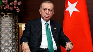 الرئيس التركي رجب طيب أردوغان - أرشيف