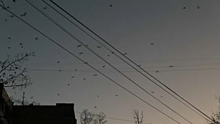 Молдавия